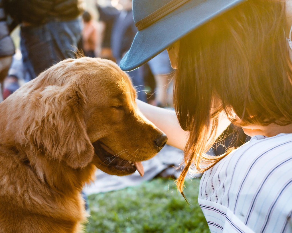 Diergezondheidsproblemen - Hoe zorg je optimaal voor je dieren